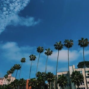 Meet your Posher, Genessa